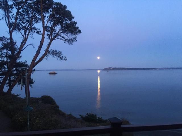 Puget Sound Chic Romantic Cottage With Private Beach Access & Gated Entry Port Ludlow מראה חיצוני תמונה