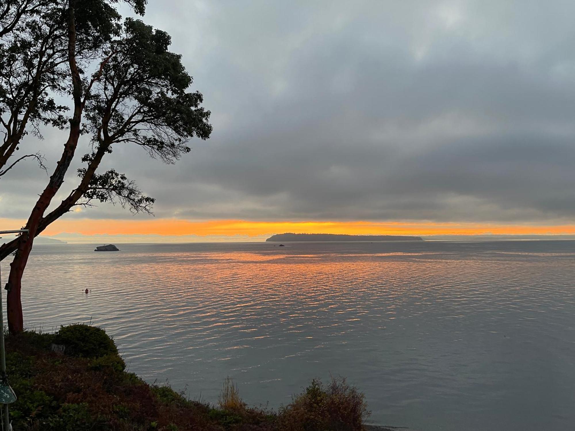 Puget Sound Chic Romantic Cottage With Private Beach Access & Gated Entry Port Ludlow מראה חיצוני תמונה